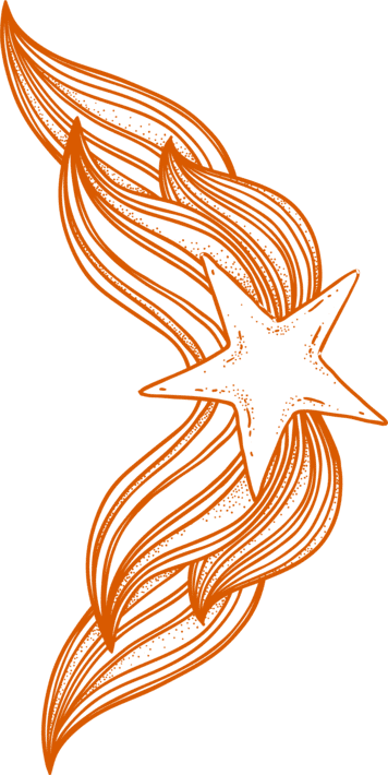 narandzasta zvezda-01