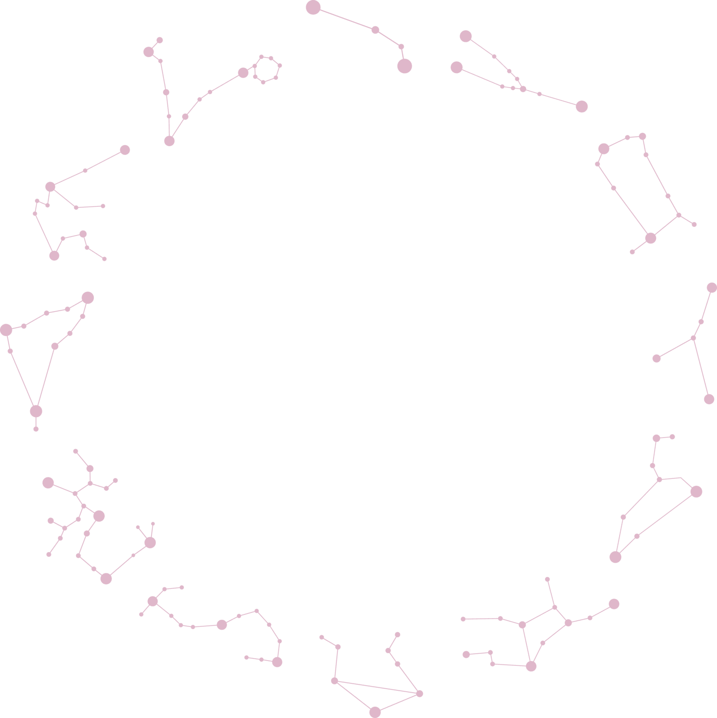 sazvezdje slabo roze testimonials-01
